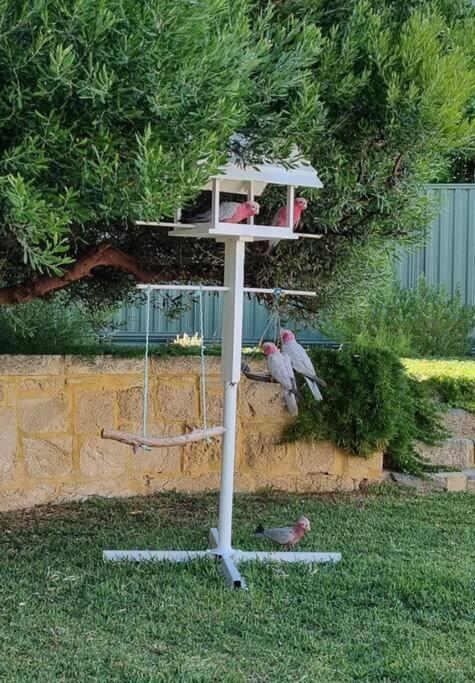 Shabby Chic Shack - 2 Bedroom Beach Cottage Yanchep Exterior foto
